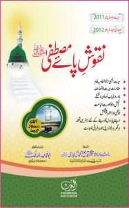 نقوش پائے مصطفی صلی اللہ علیہ وسلم