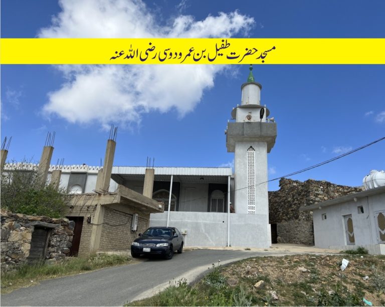 طفیل بن عمرو الدوسی 1